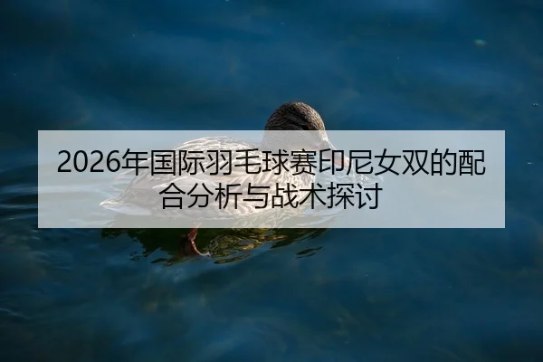 2026年国际羽毛球赛印尼女双的配合分析与战术探讨