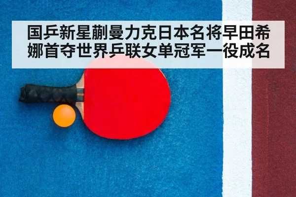 table tennis racket and ball closeup